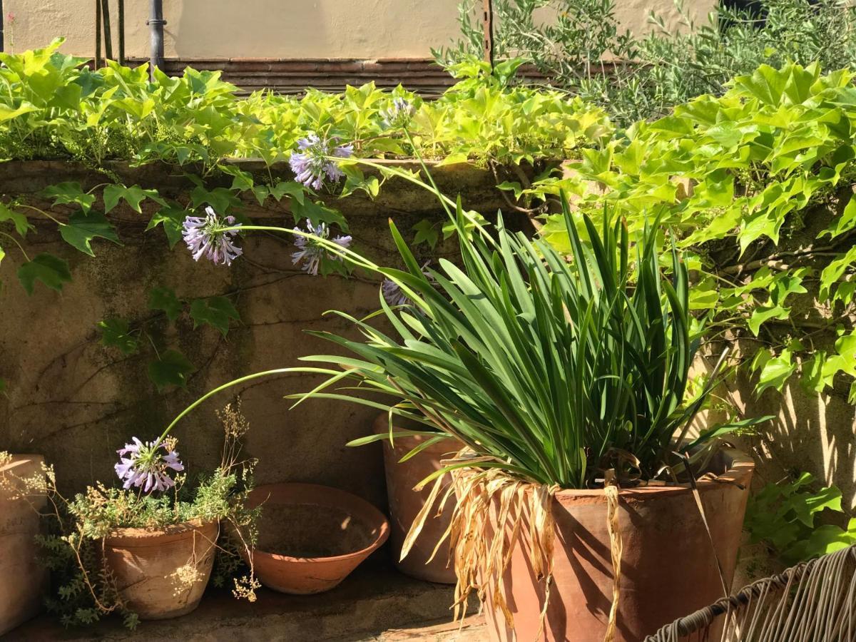 Casa Migdia Bed and Breakfast Sant Jordi Desvalls Buitenkant foto